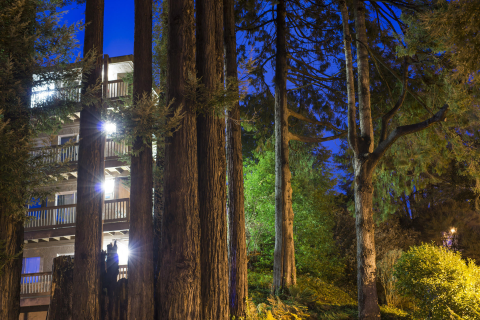 Photo of Campus Apartments at night with redwood trees in front of the building.